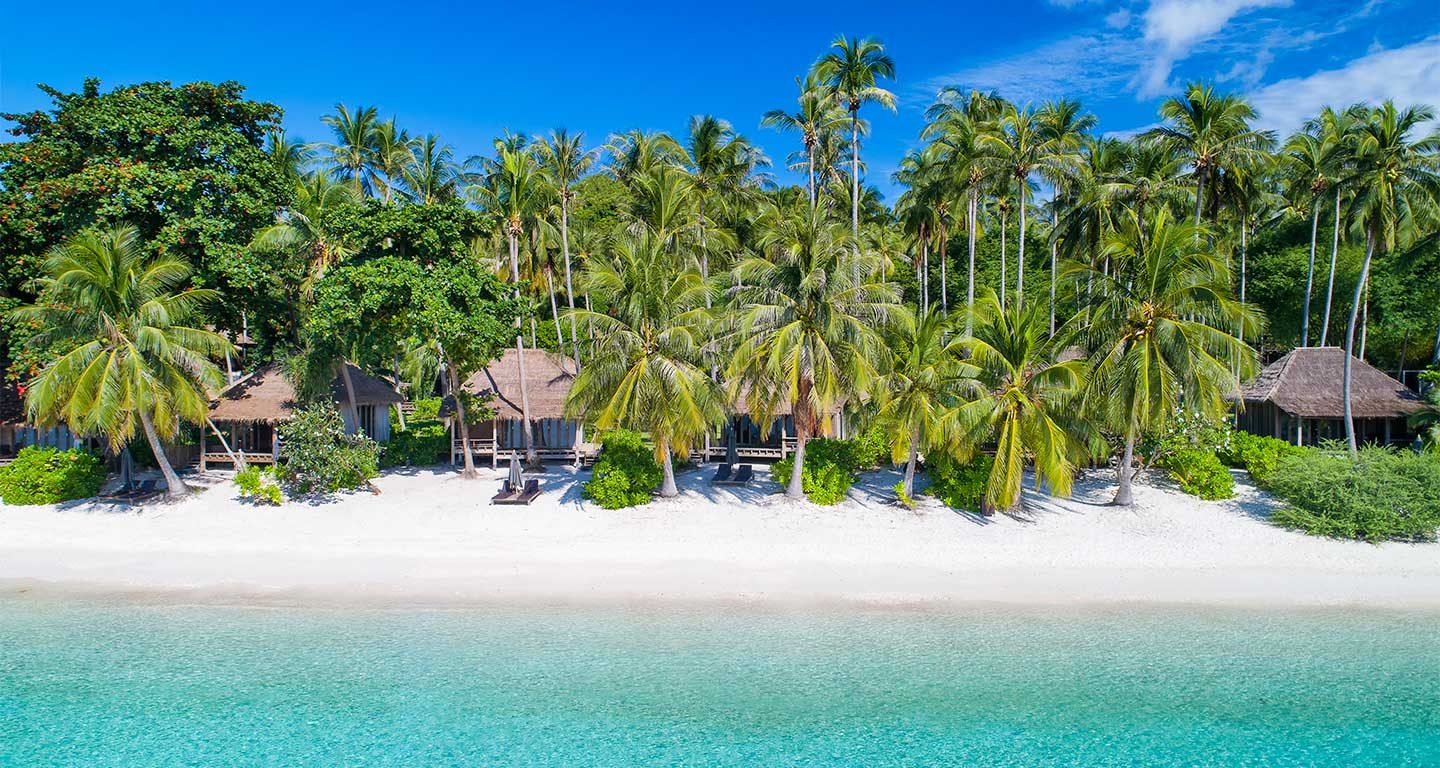 Haad Tien Beach Resort, Koh Tao: Beach villas among the palms