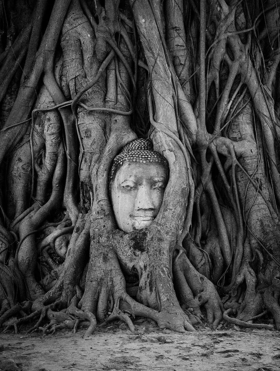 Wat Mahathat, Ayutthaya