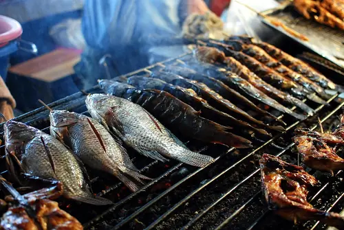 Fresh Cheow Lan lake fish grilled with wild herbs