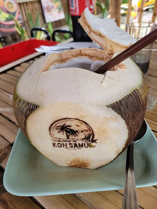 Noix de coco fraîchement cueillie sur l’arbre