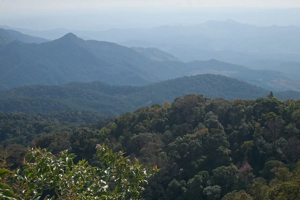 Doi Inthanon: the roof of Thailand, and how to visit it from Chiang Mai (View from Doi Inthanon)