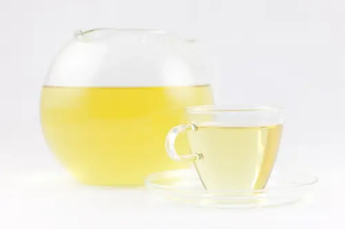 Fresh Oolong tea picked at Doi Mae Salong