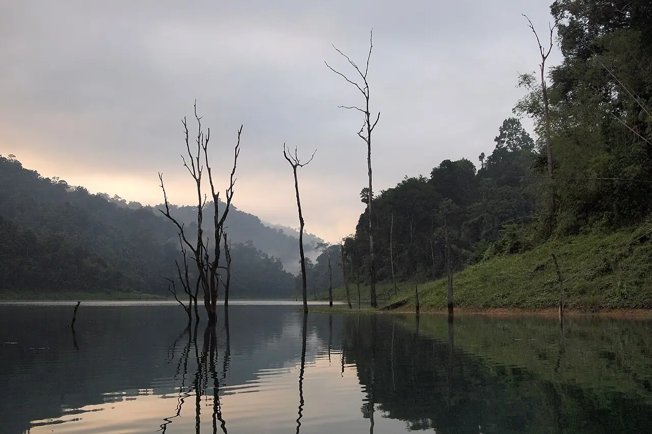 Bungalow flottant au lever du soleil – Khao Sok