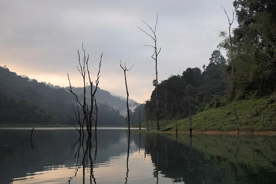 Cheow Lan Lake, Khao Sok