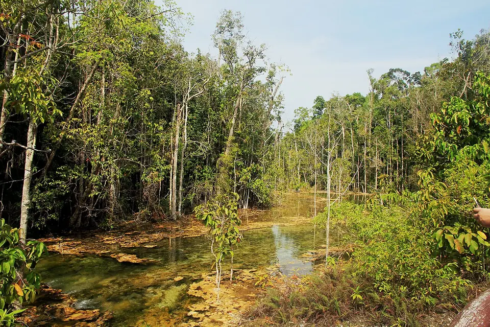 Emerald Pool, Krabi