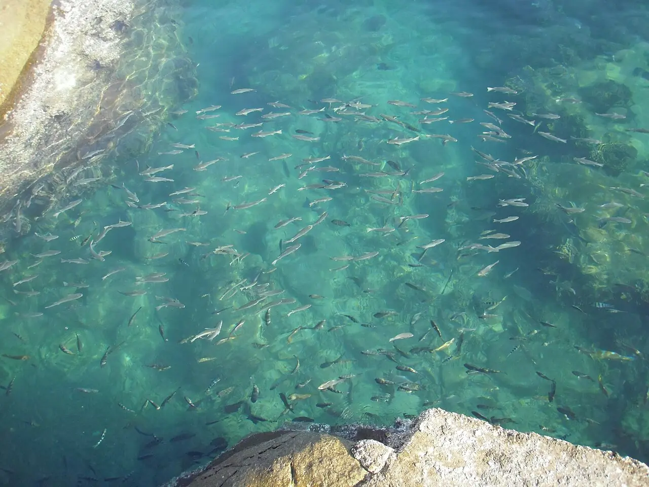 Koh Tao, Gulf of Thailand (4/4)