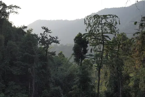 Khao Sok