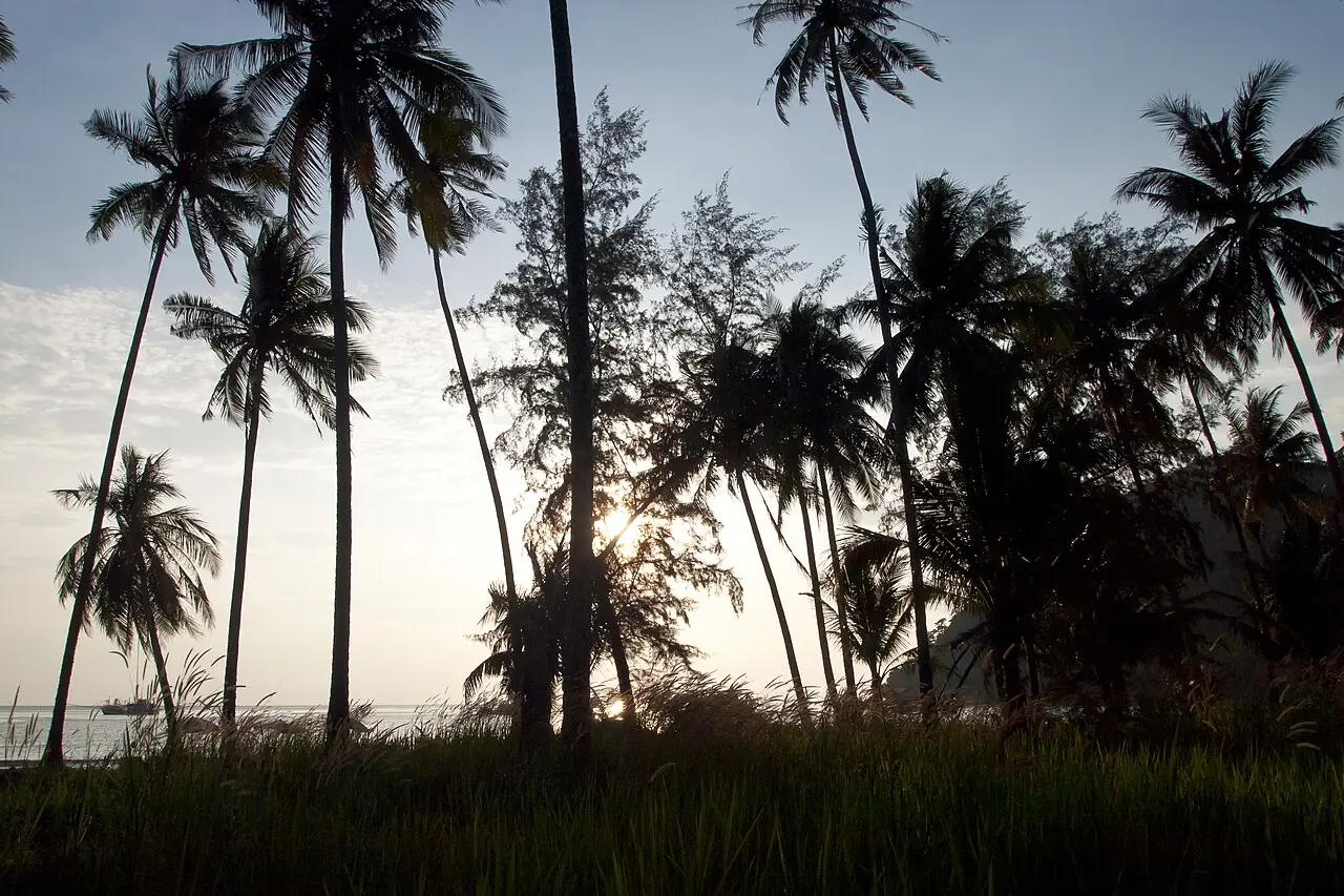 Plage de Klong Chao & Ao Tapao – Koh Kood