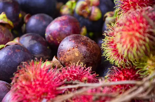 Fresh fruit picked from Trat's orchards