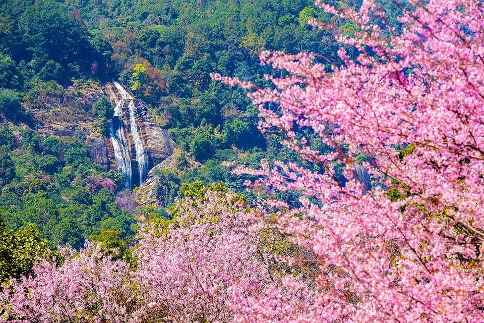 Siriphum Waterfall, Doi Inthanon National Park