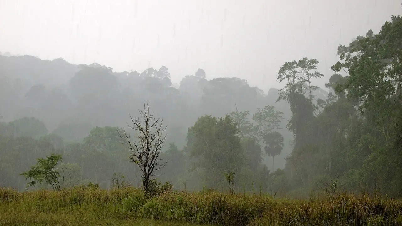 Monsunregen über den Hügeln des Khao-Yai-Nationalparks in Thailand