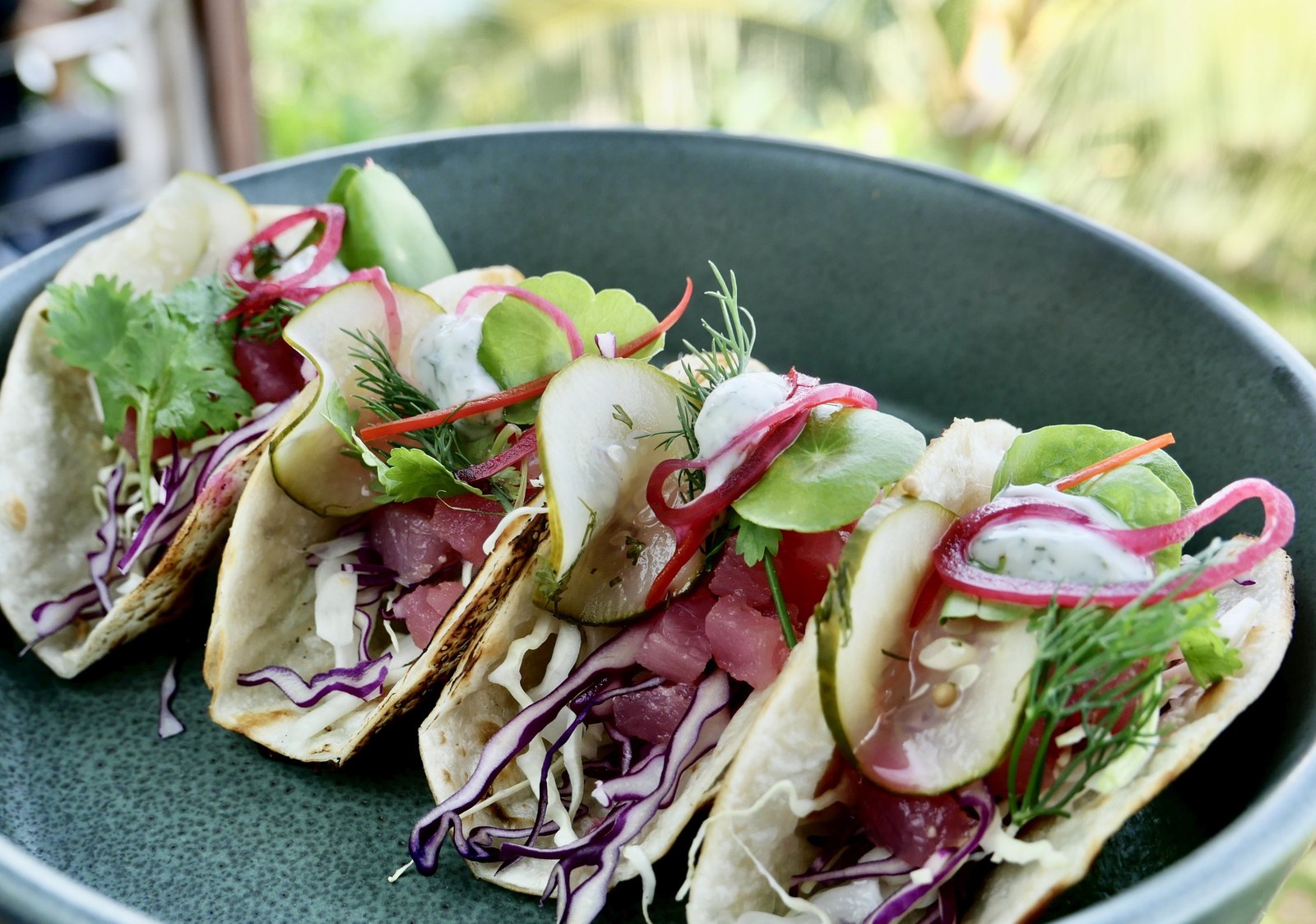 Tuna tacos with pickles and yoghurt dressing — Dr Frogs Bar & Grill